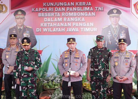 Kapolri Bersama Panglima TNI Tanam Jagung di Sidoarjo