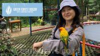 Green Forest Hotel Bogor, Suguhkan Pemandangan Alam Hingga Wisata Edukasi