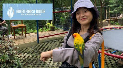 Green Forest Hotel Bogor, Suguhkan Pemandangan Alam Hingga Wisata Edukasi