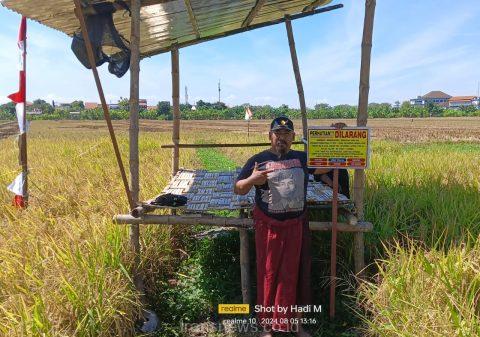 Ahli Waris Giman Bangun Gubuk dan Pasang Garis Police line di Lahan Sawah Miliknya 1