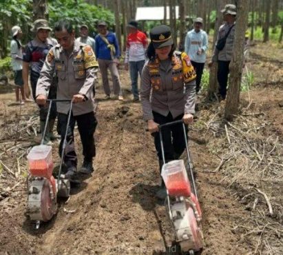 Kapolsek Ambulu AKP Latifa saat menggelar kegiatan penanam jagung